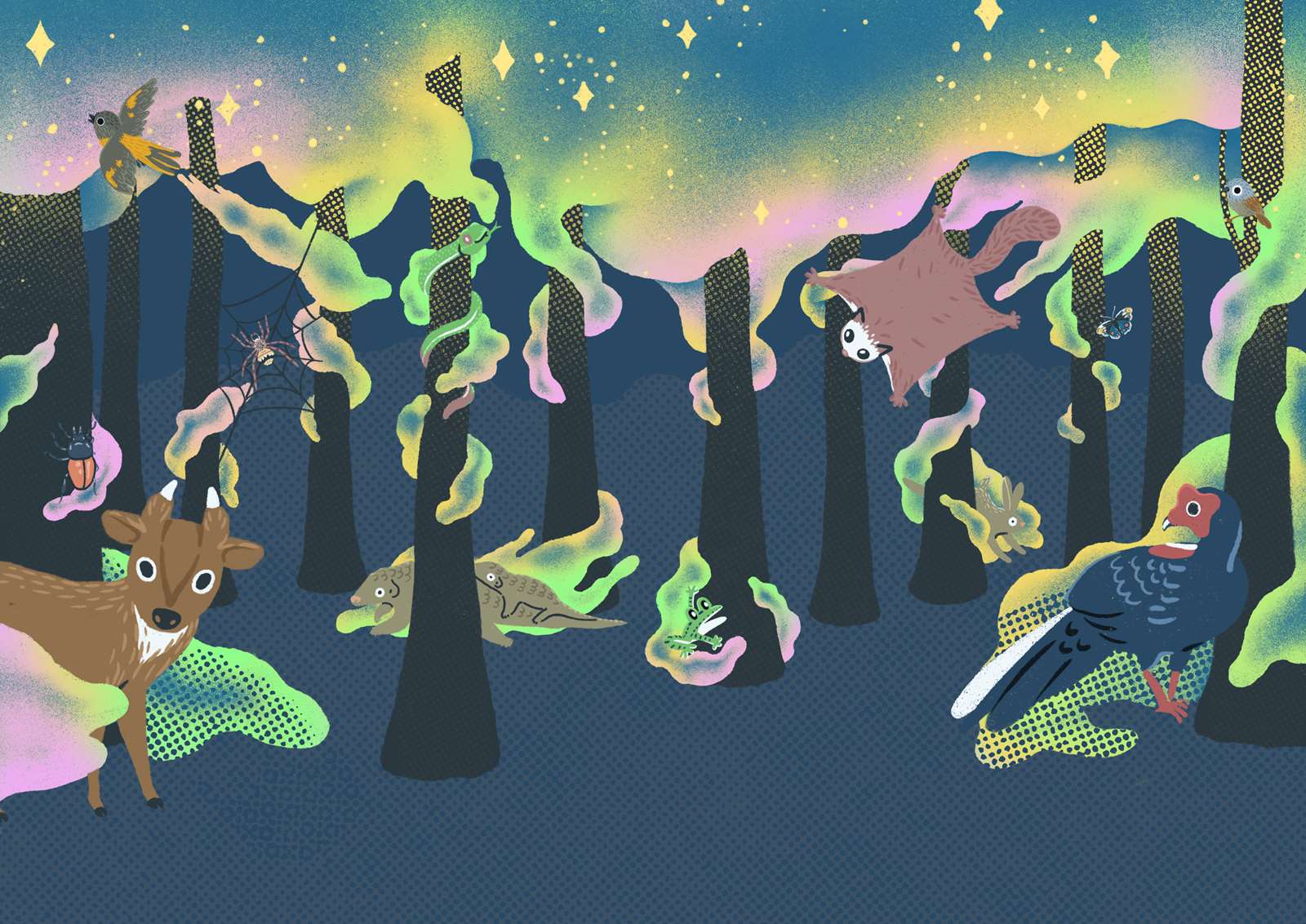 野生物方程式