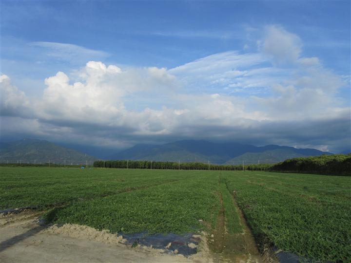 遠眺山景