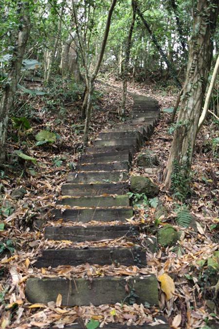 木棧道階梯